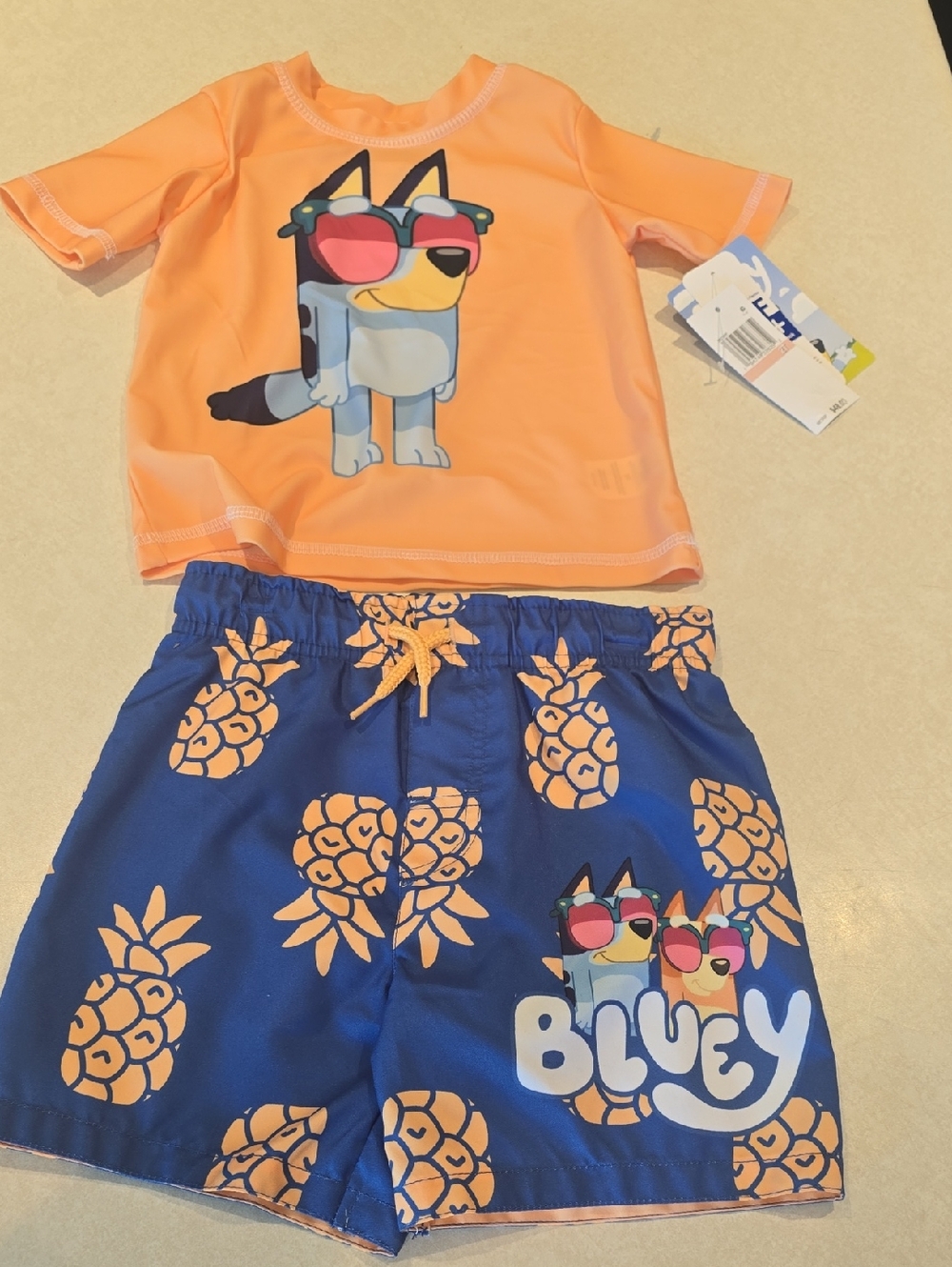Bluey Swim Set for Toddler Boys with Short Sleeve Rash Guard and Swim Trunks